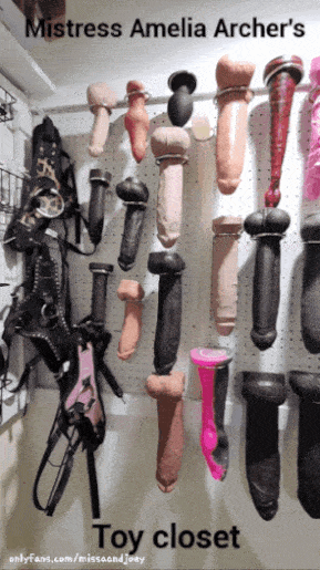 Mistress Amelia's toy closet